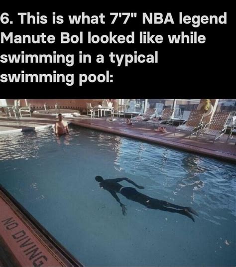 nba legend manute bol looked   swimming   typical swimming pool