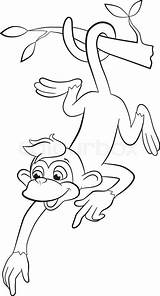 Monkey Hanging Coloring Tree Pages Drawing Branch Getcolorings Color Getdrawings sketch template