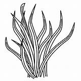 Seaweed Waves Clipartmag Seagrass Moziru sketch template