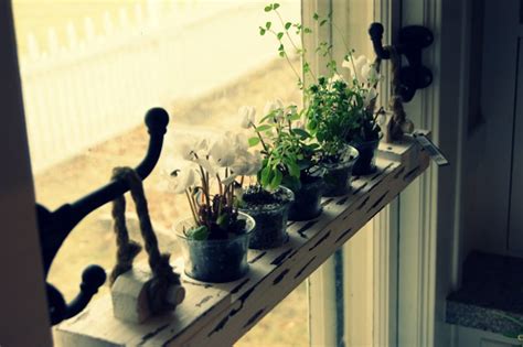 diy  ideas  window herb garden   kitchen