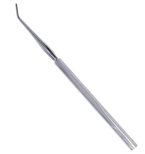 probe seeker  length dissecting probe home science tools
