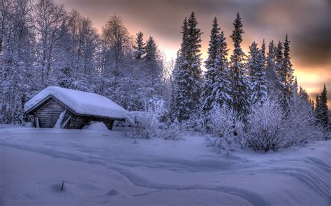 wallpaper lapland region finland winter nature snow