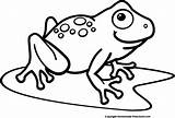 Frog Clip Clipart Frogs Pond Outline Lily Cliparts Tree Pad Cute Drawing Line Vector Coloring Pages Waving Easy Library Clipartix sketch template