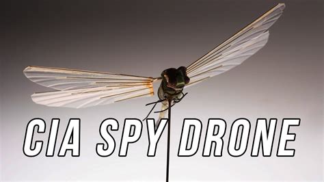 insectothopter  cias dragonfly spy drone    youtube