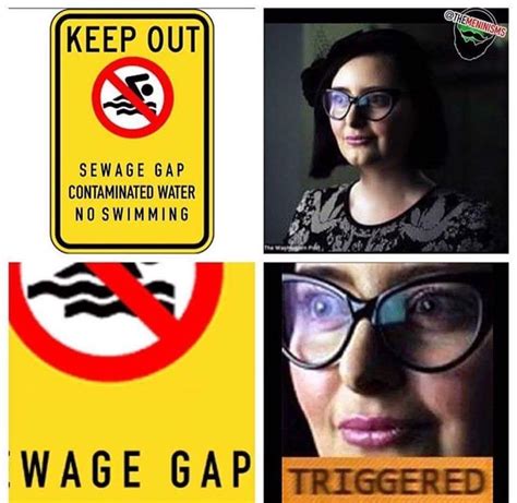 Sewage Gap Trigger Know Your Meme