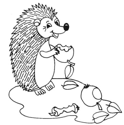 hedgehogs coloring pages  coloring kids coloring kids
