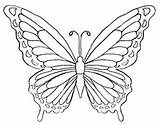 Butterfly Coloring Pages Color Drawing Rainbow Wings Butterflies Print Printable Drawings Kids Clipart Pattern Disegni Colouring Wing Fancy Firefly Disney sketch template