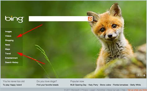 bing tests links  top  left  home page