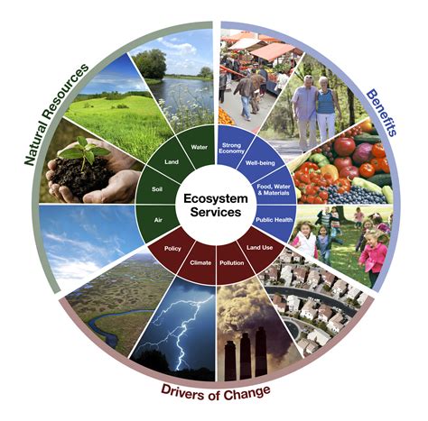 ecosystem services  enviroatlas enviroatlas  epa