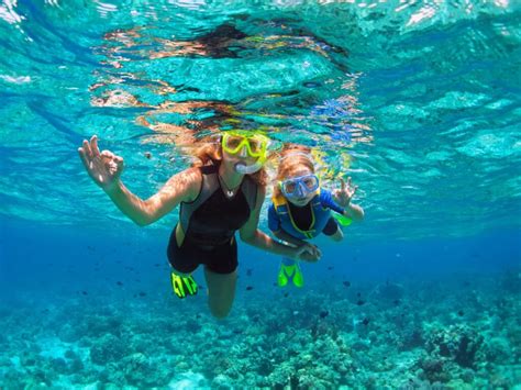 snorkeling on anna maria island 10 best spots practical tips