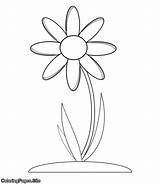 Coloring Flowers Coloringpages sketch template