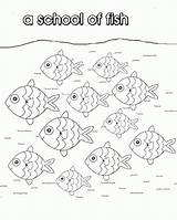 Collective Colouring Noun Nouns Fishes Printouts sketch template