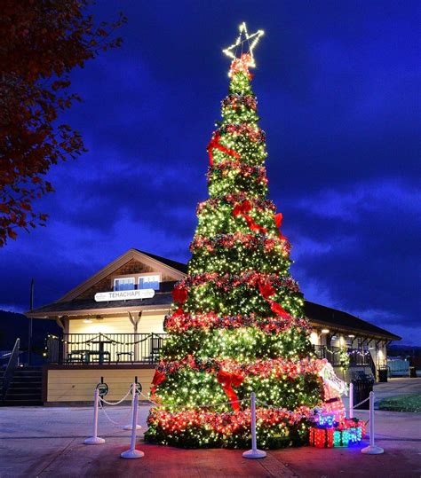 Photo Gallery Oh Christmas Tree It S Up At The Depot And Ready For