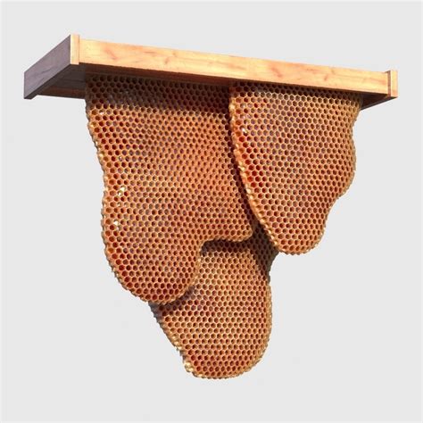 3d honeycomb other cgtrader