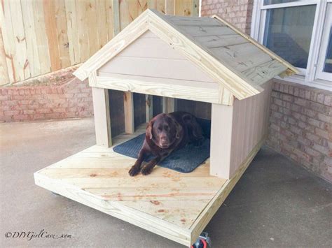 diy dog house plans   build