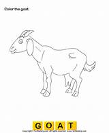 Goat Color Worksheet Worksheets sketch template