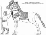 Mesopotamia Horse King Ancient Waldorf Grade Assyrian Coloring Egypt Album 5th sketch template