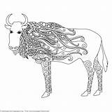 Zentangle Bull Getcoloringpages sketch template