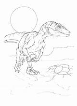 Coloring Raptor Pages Getcolorings sketch template