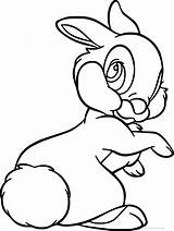 Bambi Thumper Bunny Cartoon Colorir Panpan Lapin Wecoloringpage Imprimez Gratuitement Coloriages sketch template