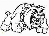 Coloring Pages Bulldogs Georgia Football Clipart Divyajanani sketch template