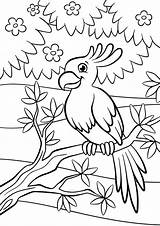 Parrot Birds Mignon Perroquet Leuke Papegaai Little Getcolorings Coloritura Uccelli Pappagallo Sveglio Pagine Feeder Sits Weinig Kleurende Vogels Oiseaux Coloration sketch template
