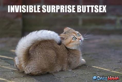 25 Very Funny Invisible Pictures And Images