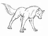 Wolf Snarling Drawing Getdrawings sketch template