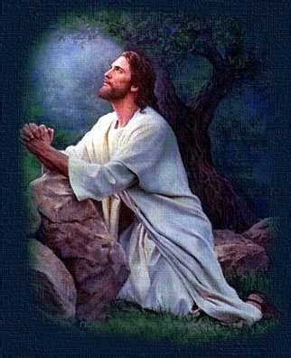 daily thought prayer life   jesus pray