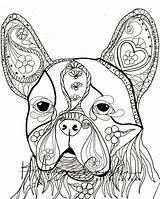 Coloring Terrier Boston Bull Pages Digital Getdrawings Books sketch template