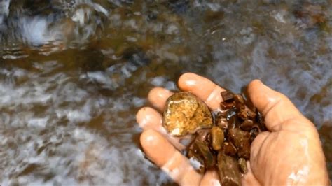 alluvial gold prospecting   places  find gold   creek
