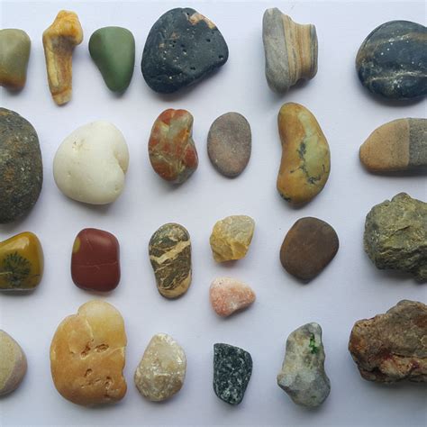 school  rocks minerals fossils meteorites  yinan wang atlas