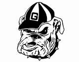 Bulldog Mascot Bulldogs Dawgs Uga sketch template