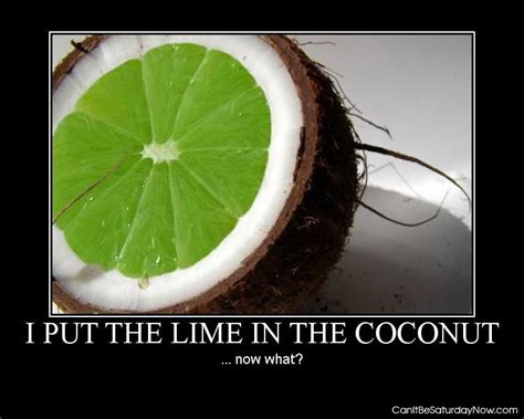 saturday   lime   coconut