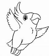 Parrot Coloring Pages Flying Printable Bird Cartoon Drawing Getdrawings Easy Cute Cockatoo Parrots Getcolorings Animal Color Colorings Print sketch template