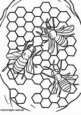 Biene Malvorlage Bienen Malvorlagen Honigwaben sketch template