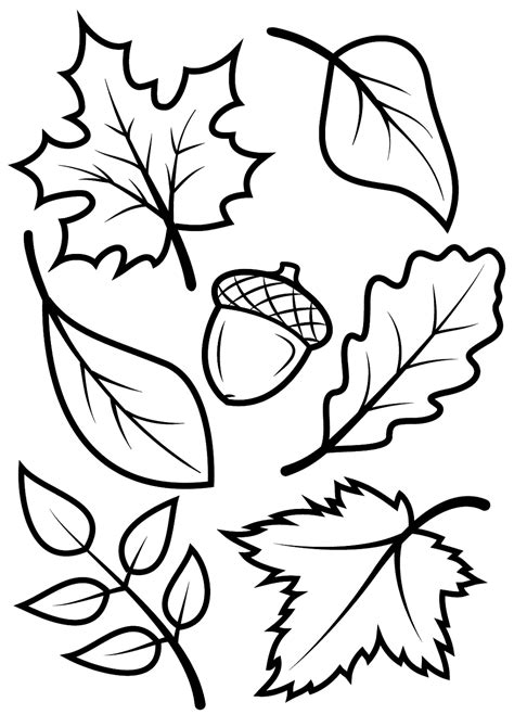 leaf coloring kids learning activity fall leaves coloring pages