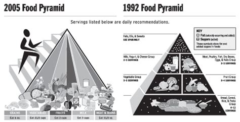 government releases  food pyramid