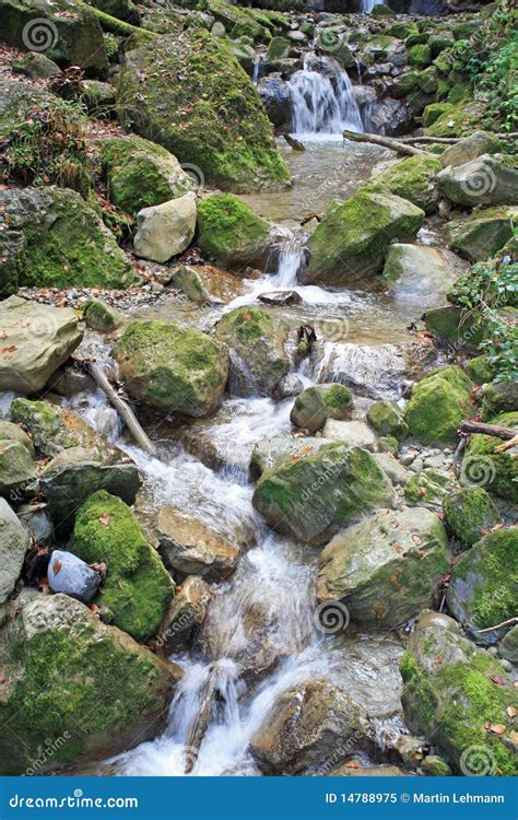 small stream stock image image  small relaxing clean