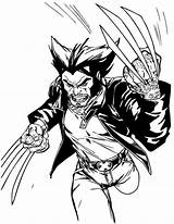 Wolverine Colorir Imprimir Adults sketch template