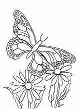 Butterfly Coloring Pages Print Color Printable Flower Butterflies Flowers Kids Paintable Copy Sheets Adult Adron Mr Template sketch template