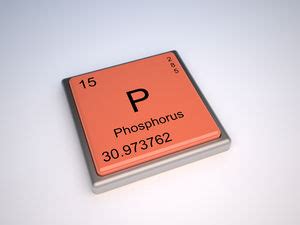 fosfor p unsur pengertian  fungsi kegunaan mastah