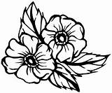 Cherokee Rose Drawing Corner Getdrawings Sticker sketch template
