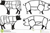 Schweinefleisch sketch template