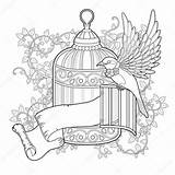 Coloring Bird Cage Elegant Stock Pages Illustration Getcolorings Vector Color Getdrawings sketch template