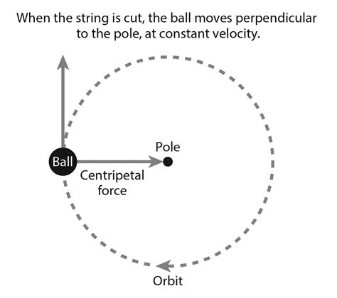 weekly science quiz centrifugal  centripetal