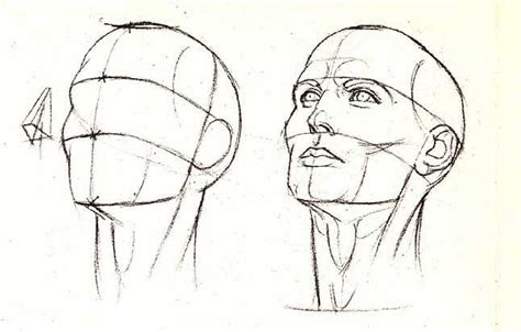 head drawing  tutorials head face drawings sketches
