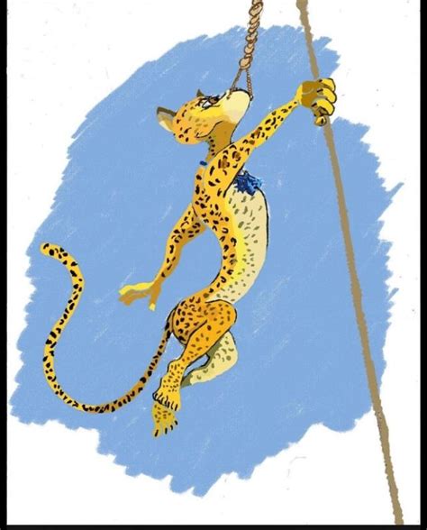 16 Best Gia The Jaguar Images On Pinterest Cheetah
