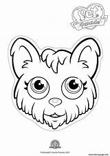 Coloring Pages Cute Parade Yorkshire Dog Pet Printable Print Yorkie Info Puppy Template sketch template