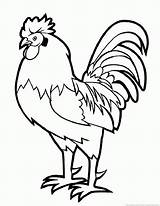 Rooster Coloring Pages sketch template
